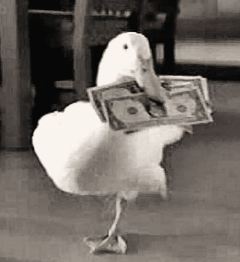 duck_with_money_sepia.jpg
